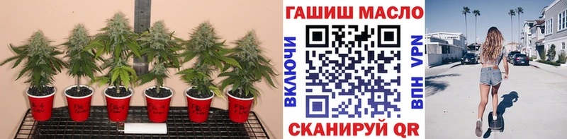 где найти   Щёкино  ТГК Wax 