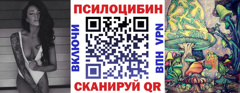 сайты даркнета формула Щёкино Псилоцибиновые грибы прущие грибы